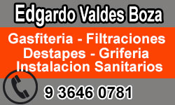 MaestroMaipu.cl:Edgardo Valdes Boza